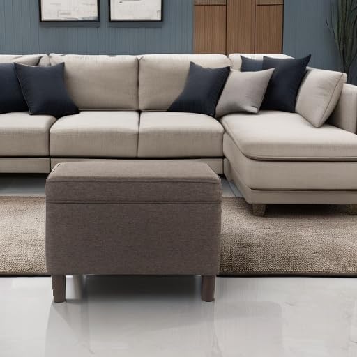 Home Decor | Dinah Collection Modern Storage Ottoman | Ottoman - Image 9