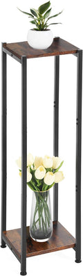 Extra Tall Plant Stand Indoor, 40 Inch Plant Stands, 2 Tier Metal Plant Stand by CozyTimes
