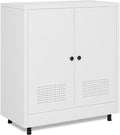 Metal Storage Cabinet with 2 Doors and Adjustable Shelf, Free Standing Accent by JINKERFURNITURE