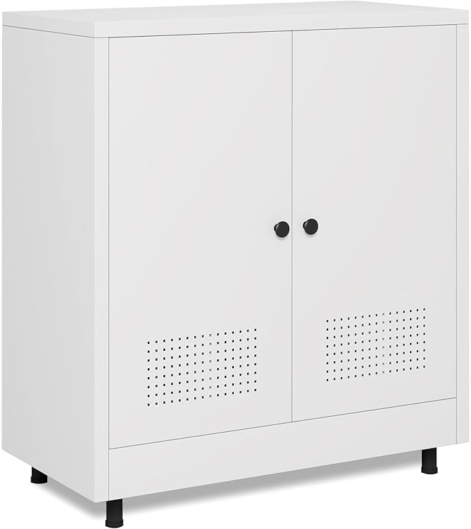 Metal Storage Cabinet with 2 Doors and Adjustable Shelf, Free Standing Accent by JINKERFURNITURE