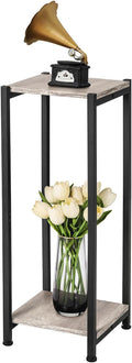 Tall Plant Stand Indoor, 31 Inch Plant Stands, 2 Tier Metal Plant Stand by CozyTimes