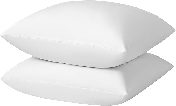 Euro Pillow Inserts 30x30 inchs by basic+home