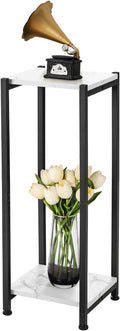 Tall Plant Stand Indoor, 31 Inch Plant Stands, 2 Tier Metal Plant Stand by CozyTimes