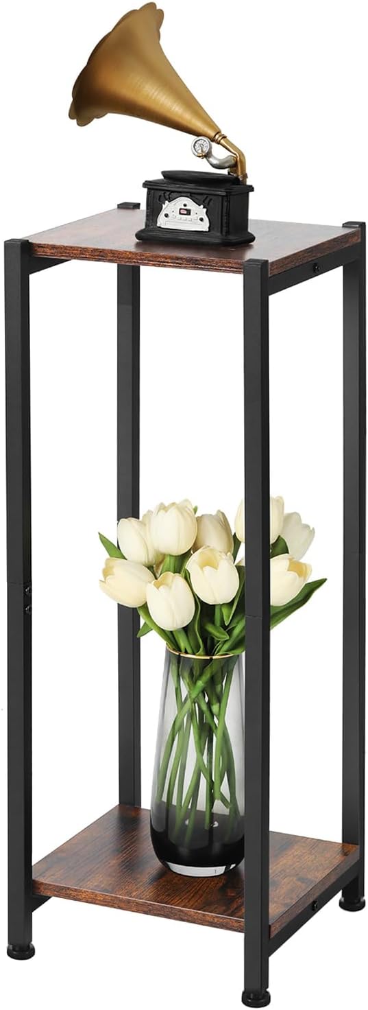 Tall Plant Stand Indoor, 31 Inch Plant Stands, 2 Tier Metal Plant Stand by CozyTimes