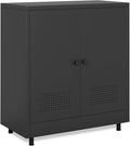 Metal Storage Cabinet with 2 Doors and Adjustable Shelf, Steel Accent Sideboard by JINKERFURNITURE