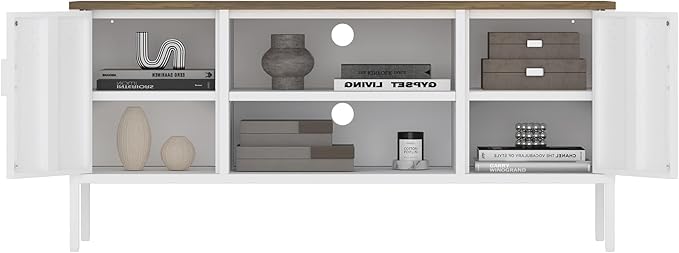 Manhattan Comfort Landen 47" Modern Metal TV Stand - Image 13