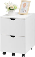 HollyHOME Under Desk Cabinet, Deep 2-Drawer Mobile Wood Cabinet, Storage Drawer by HollyHOME