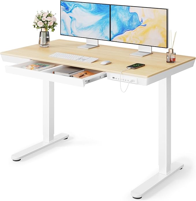Marsail Electric Solid Standing Desk, 48 x 24 inch Standing Desk by Marsail