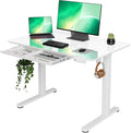 INNOVAR Glass Standing Desk by INNOVAR
