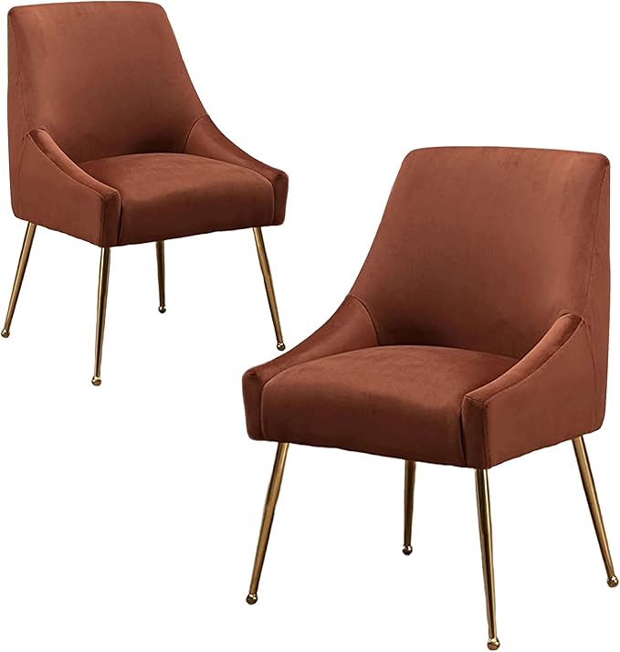 Modern Velvet Dining Chairs Set of 2, Contemporary Upholstered Furniture by HOLILA