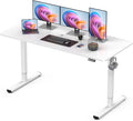 Standing Desk, Large Height Adjustable Electric Stand up Desk, 55 x 24 Inches by XyndyxErgonomicDesign