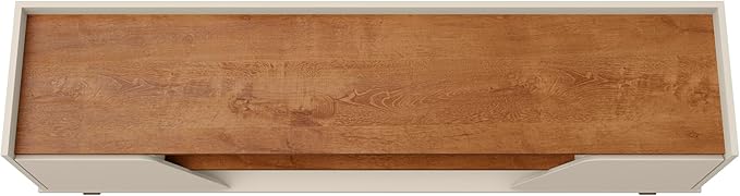 Manhattan Comfort Marcus Mid Century Modern 65 Inch TV Stand - Image 7