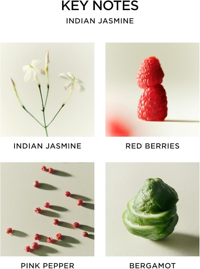 NEST New York Reed Diffuser, Indian Jasmine - Image 4