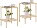 Apicizon 2 Tier End Table Set of 2, Small Side Table by APICIZON