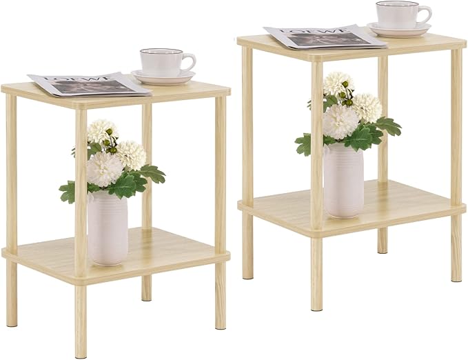 Apicizon 2 Tier End Table Set of 2, Small Side Table by APICIZON