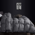 Luxurious All-Season Goose Down Feather Fiber Comforter Queen Size Duvet Insert by EgyptianBedding