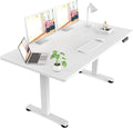 Veken 63x27.6 Inch Large Electric Standing Desk, 4 Memory Heights Adjustable by Veken