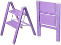 2 Step Lightweight Folding Ladder by Takingstepsup