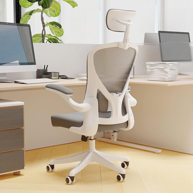 Ergonomic Office Chair with Adjustable Lumbar Support & Flip-Up Armrests by SICHYAGE