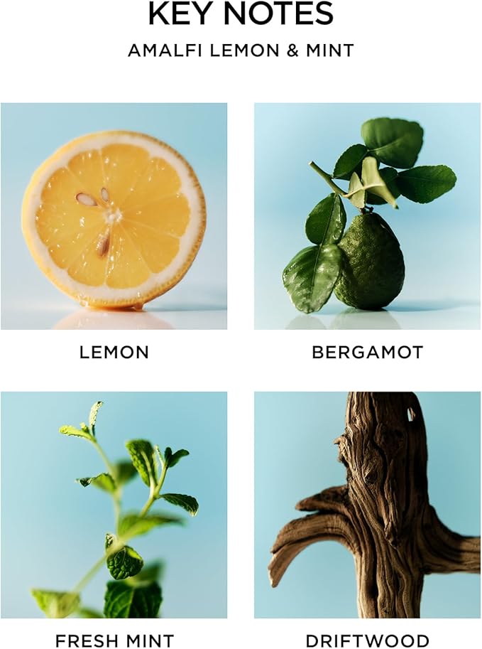 NEST New York Reed Diffuser, Amalfi Lemon & Mint - Image 4