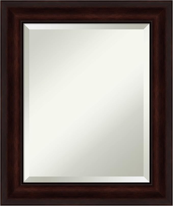 Amanti Art Brown Bathroom Mirror by AmantiArt