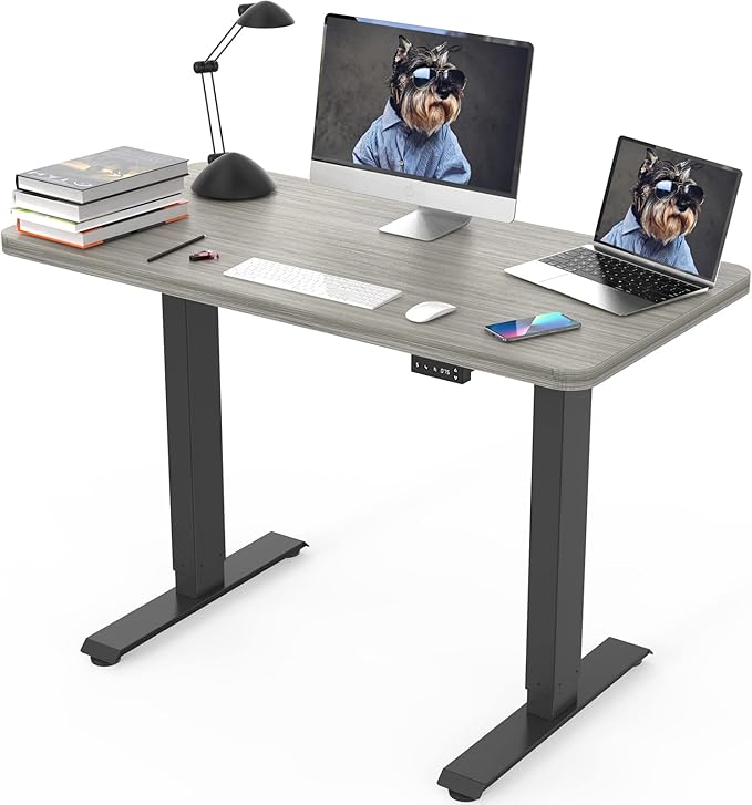 JOY worker Electric Height Adjustable Standing Desk, Quick Assembly Standing by JOYworker