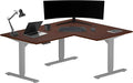 Standing Desk: FLT-05, DT-3030-DC, DT-4830-DC, DA-10-Black by PROGRESSIVEDESK
