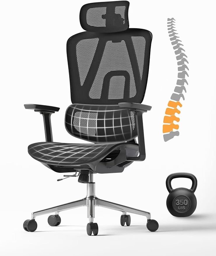 Ergonomic Office Chair with 3D Lumbar Support/Headrest/Armrest/, Mesh Executive by theartofsitting