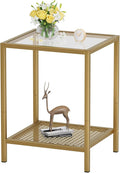 SAYGOER Glass Side Table Small Gold End Table by Saygoer