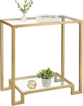 2 Tier Rectangular Side Table, Modern Metal Clear Coffee Table，Small Accent by GIFTTROVE
