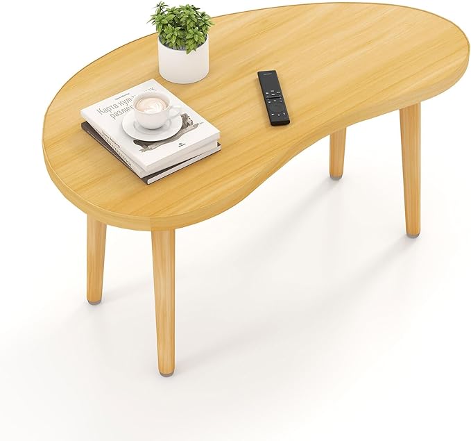 Mango Coffee Table Low Table by Funecy