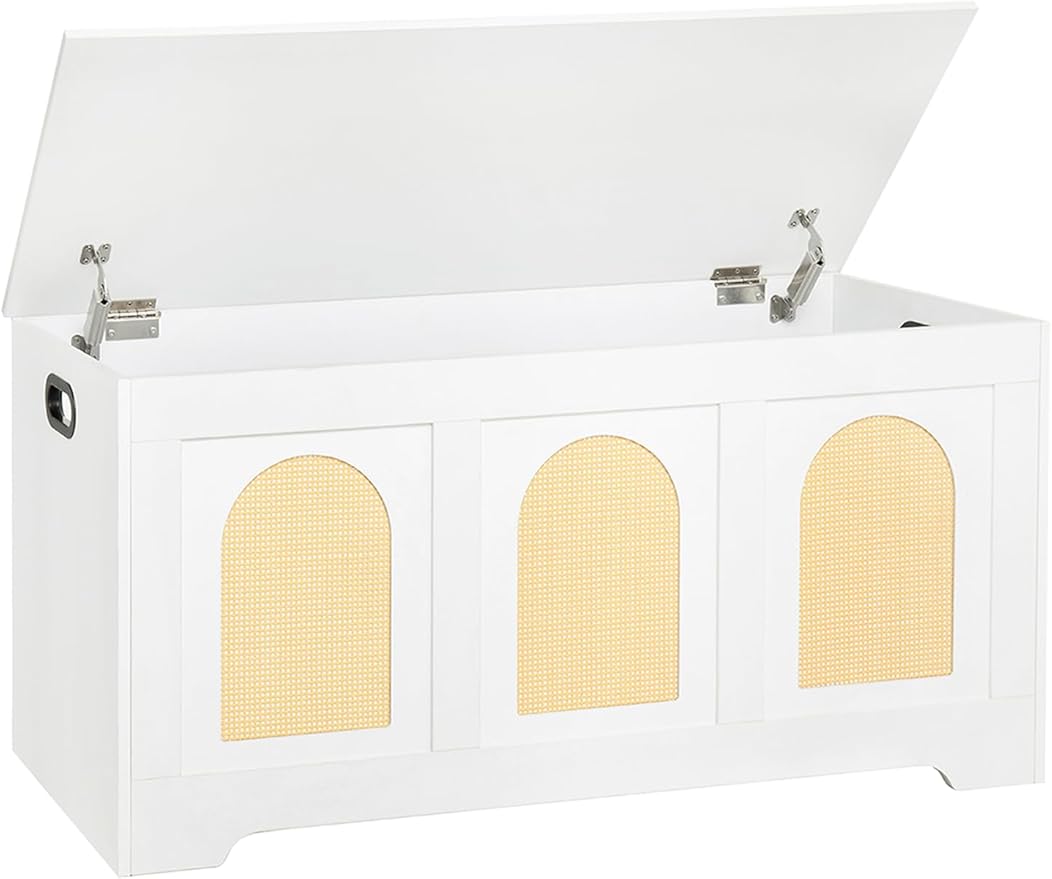 DINZI LVJ Storage Chest, 39.4" Rattan-Like Storage Box by DINZILVJ