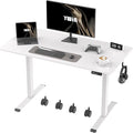 Ywin Electric Height Adjustable Standing Desk by Unknown
