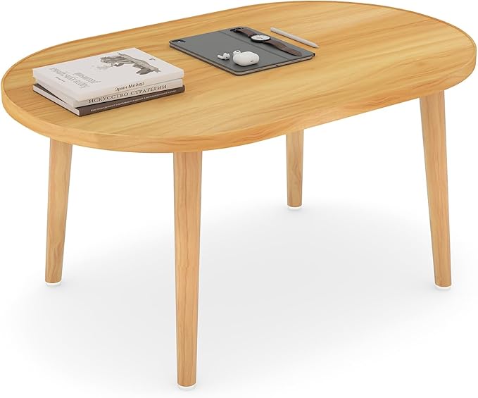 Oval Coffee Table Low Table by Funecy