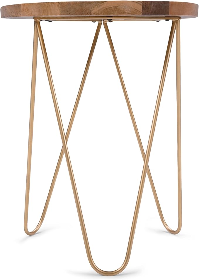 SIMPLIHOME Patrice Modern 18 inch Wide Metal and Wood Accent Side Table in - Image 4