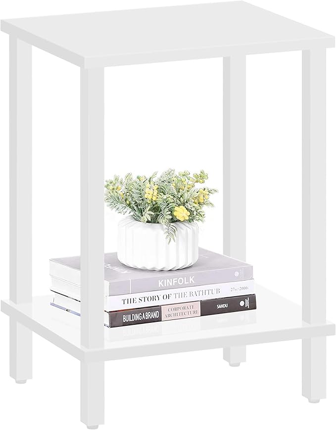 TUTOTAK End Table, Side Table, Nightstand, 2-Tier Storage Shelf, Sofa Side Table by WelcometotheTUTOTAKHome