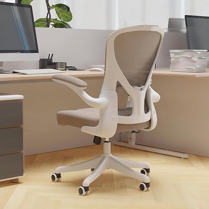 Ergonomic Office Chair with Adjustable Lumbar Support & Flip-Up Armrests by SICHYAGE