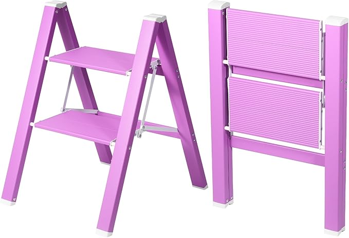 2 Step Lightweight Folding Ladder by Takingstepsup