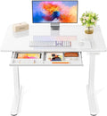 Marsail Glass Electric Standing Desk by Marsail