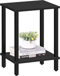 TUTOTAK End Table, Side Table, Nightstand, 2-Tier Storage Shelf, Sofa Side Table by WelcometotheTUTOTAKHome