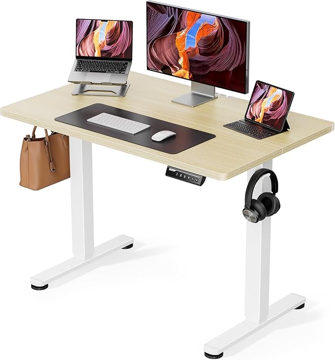 ErGear Height Adjustable Electric Standing Desk, 40 x 24 Inches Sit Stand up by ErGear