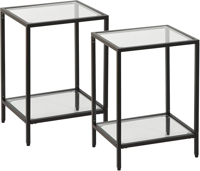 Modern 2-Tier Tempered Glass End Table by Gawicpy