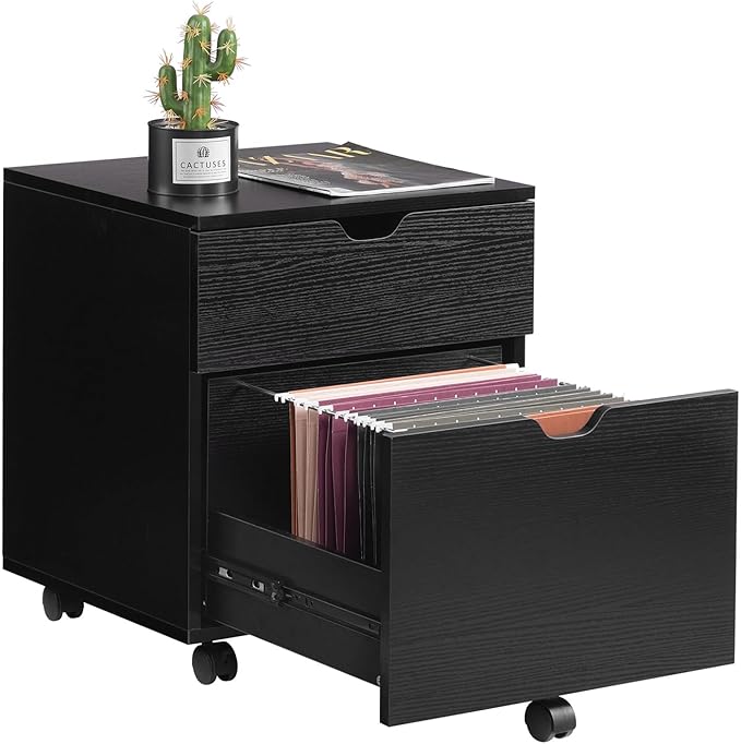 HollyHOME File Cabinet, 2 Drawers Filing Cabinet by HollyHOME