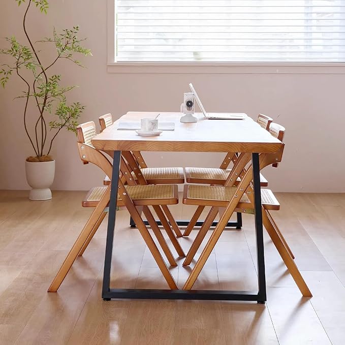 Simple Rattan Dining Chair Set of 2, Foldable Lounge Chair, Suitable - Image 5