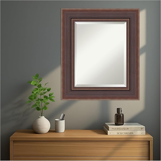 Amanti Art Brown Wall Mirror 28x24 Moab Brown Bronze Rectangle Bathroom Mirror - Image 7