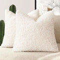 Foindtower 2 Pieces Faux Fur Throw Pillow Cover Accent Sherpa Pillow Fuzzy Soft by Foindtower