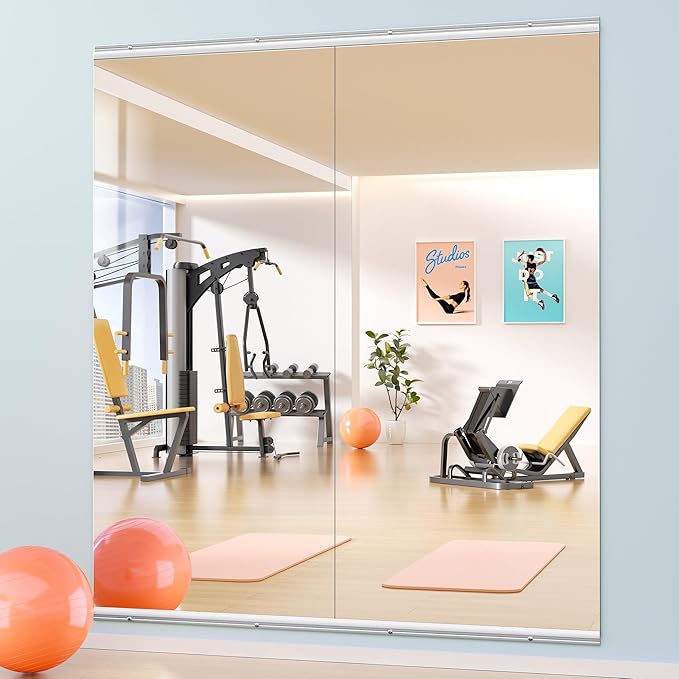 Hasipu Home Gym Mirror 63" L x 28" W by Whatssuitableisthebest