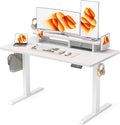 48x24 Inches Electric Standing Desk by WALKINGDESK