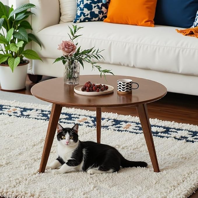 100% Solid Oak Wood Mini Coffee Table, Round Side Table w/Solid Wood Legs by Vadisun
