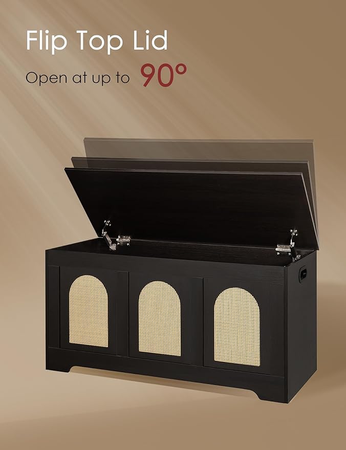 DINZI LVJ Storage Chest, 39.4" Rattan-Like Storage Box - Image 5